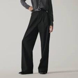 Everlane Way-High Drape Pant